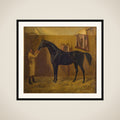 Black Comet framed