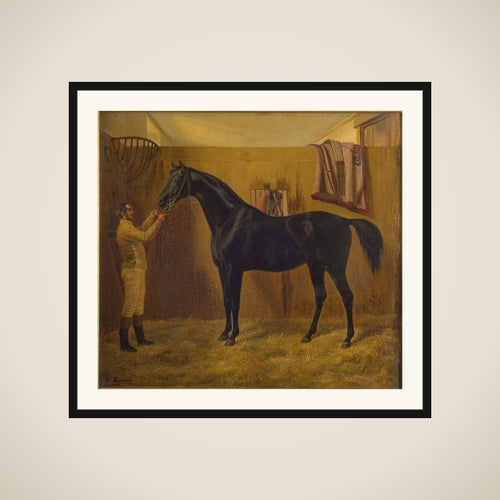 Black Comet framed