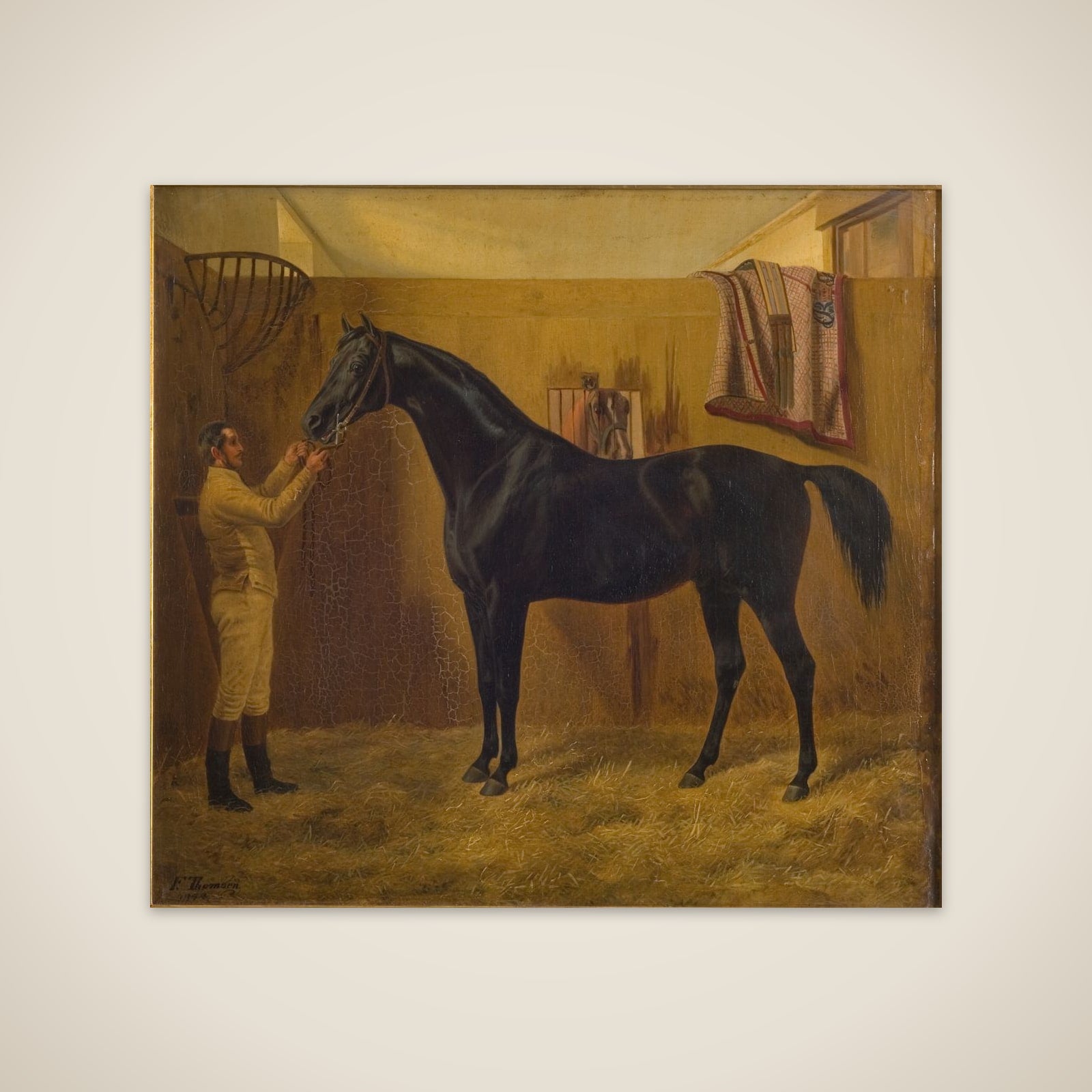 Black Comet unframed print