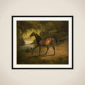 Antonia framed
