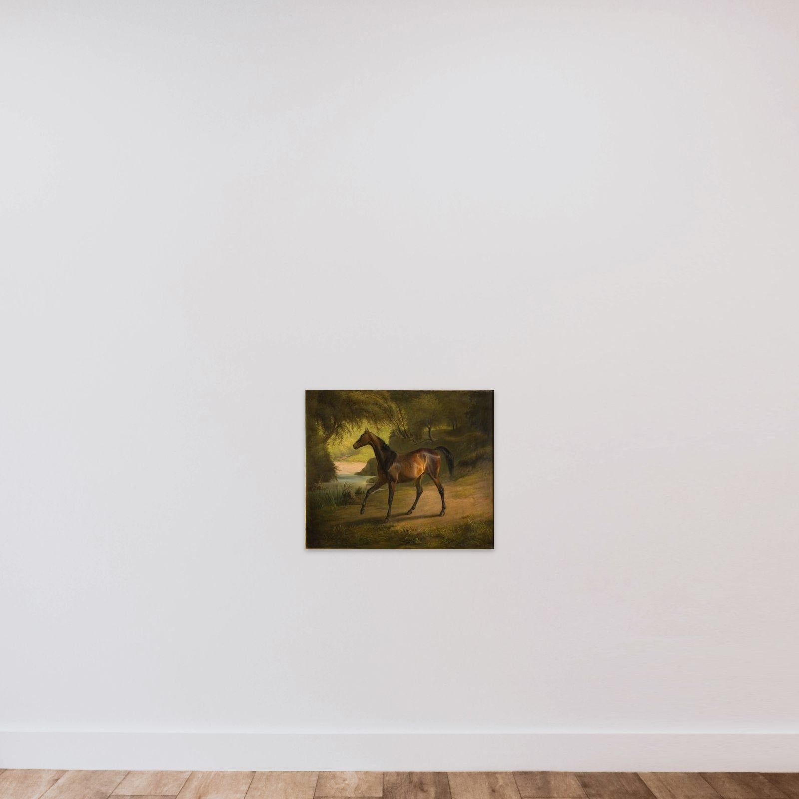 Antonia unframed — shown to scale