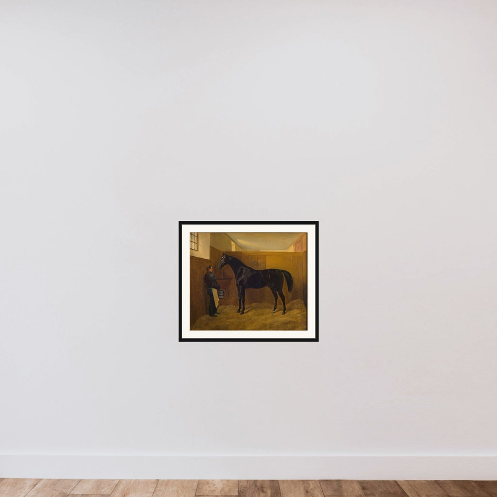Zampa framed — shown to scale