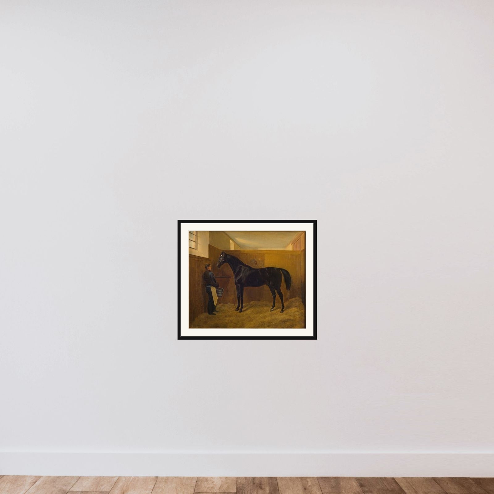 Zampa framed — shown to scale