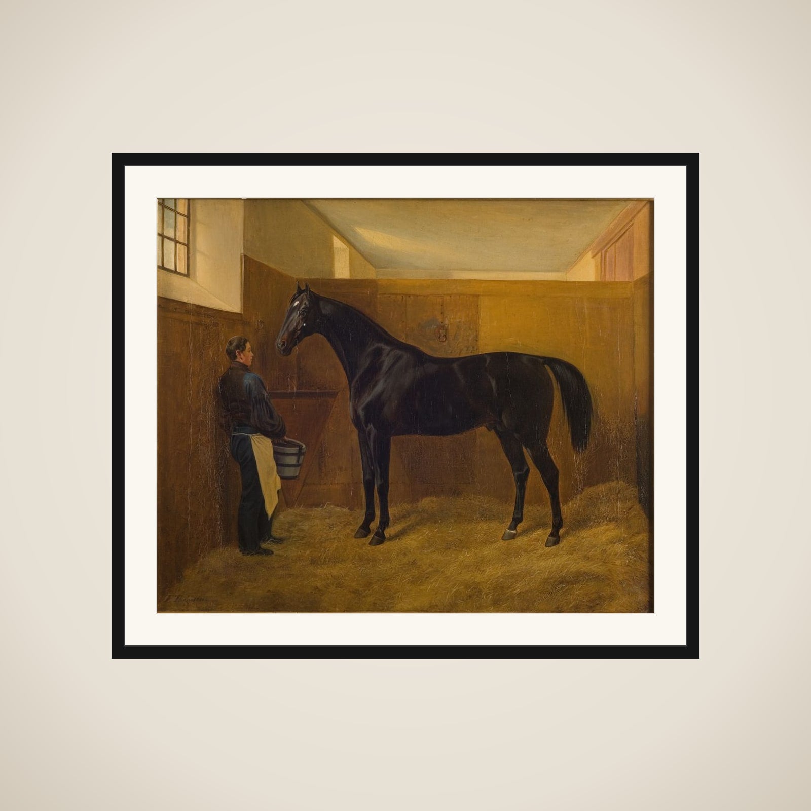 Zampa framed