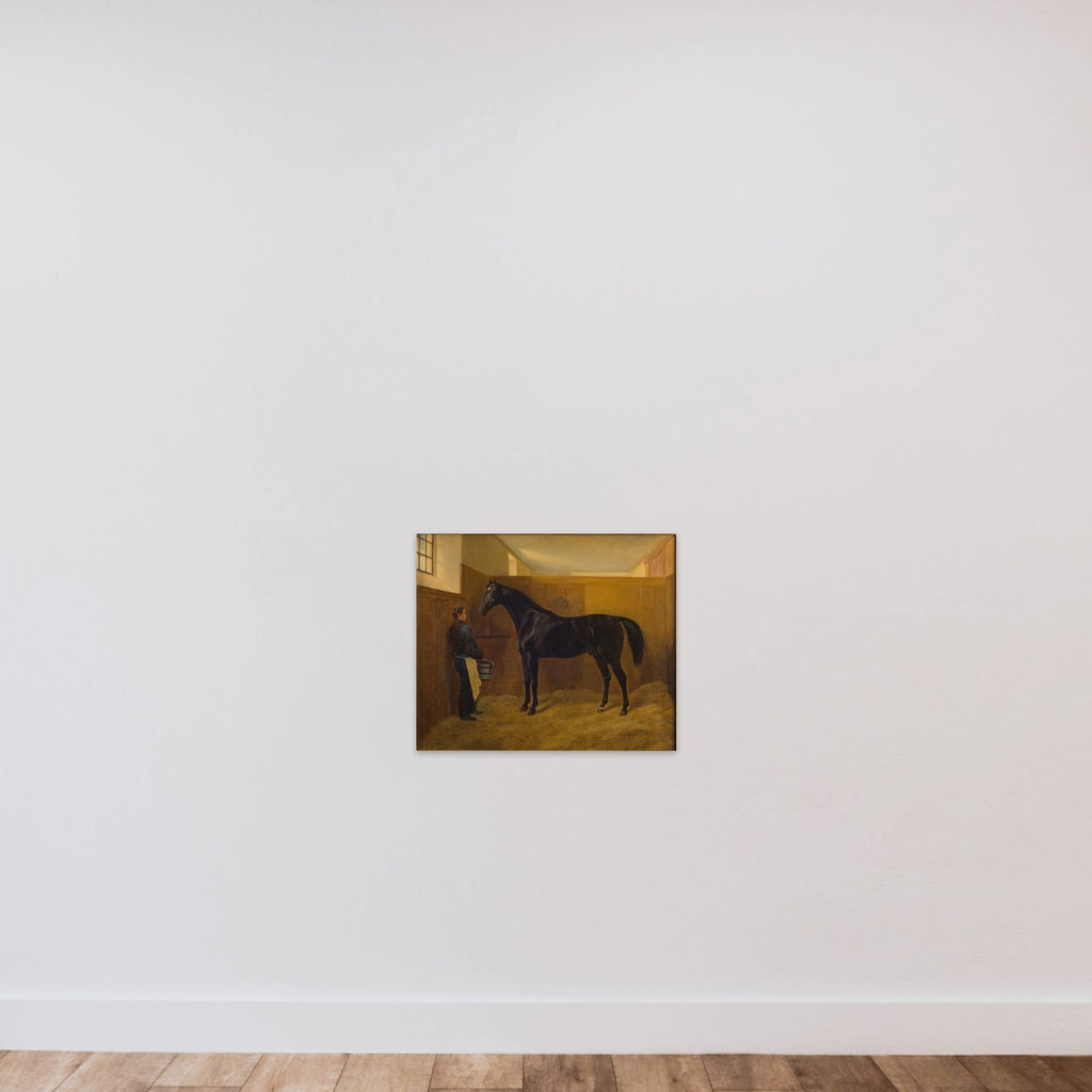 Zampa unframed — shown to scale