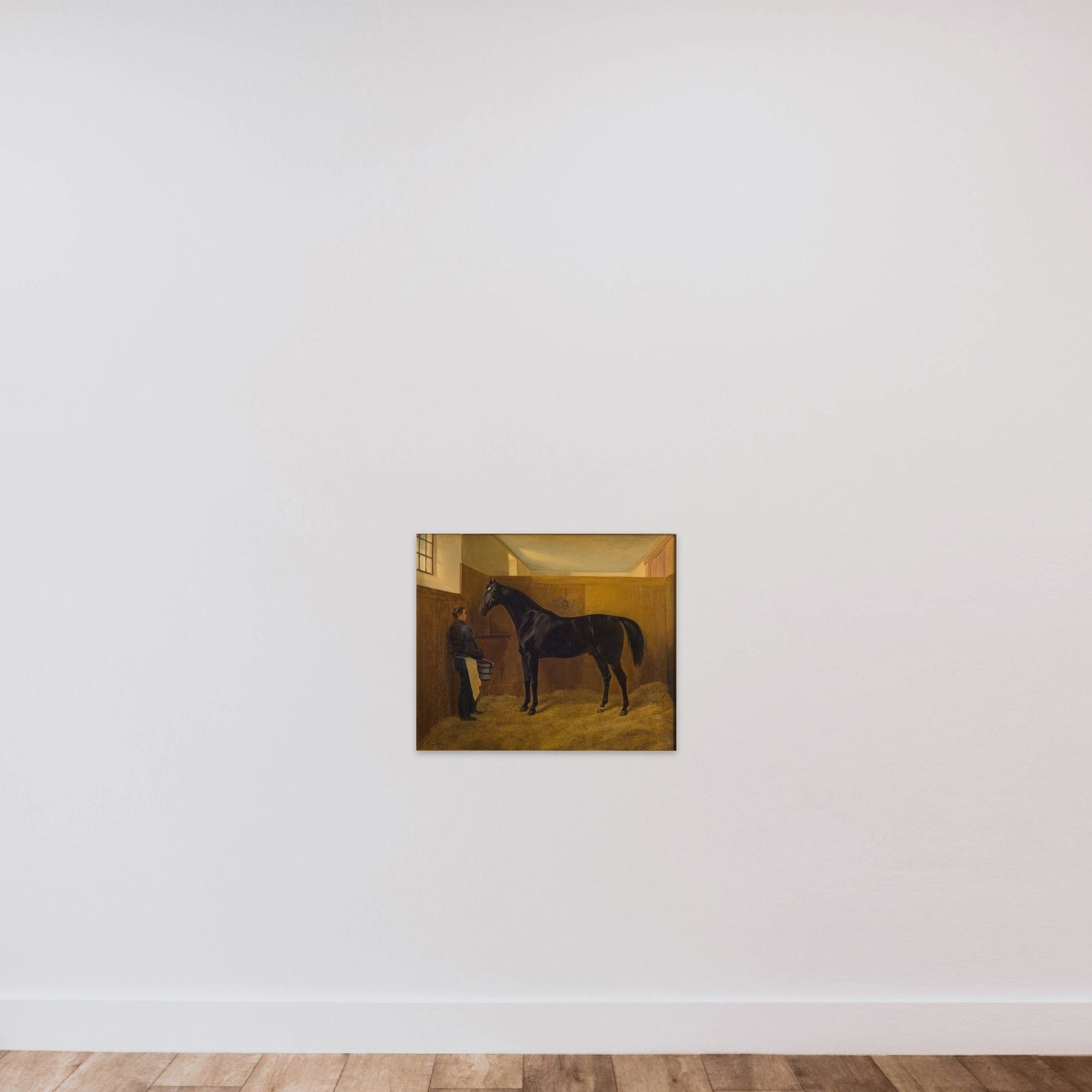 Zampa unframed — shown to scale