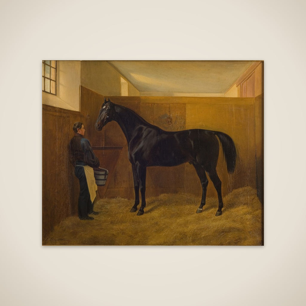 Zampa unframed print