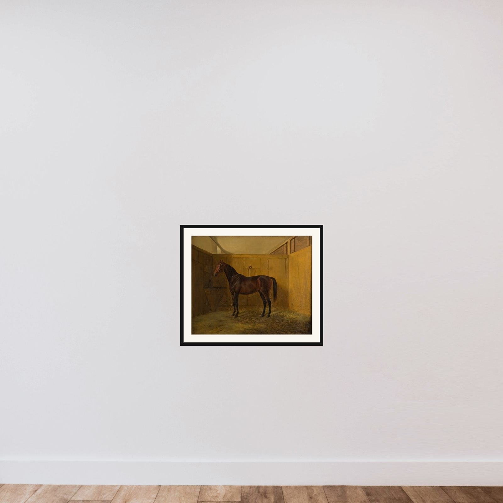 Hersilia framed — shown to scale