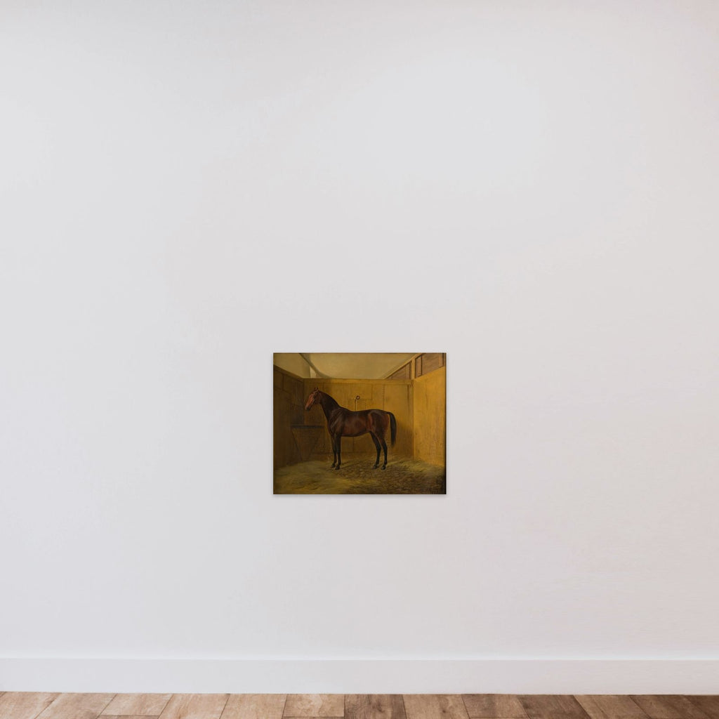 Hersilia unframed — shown to scale