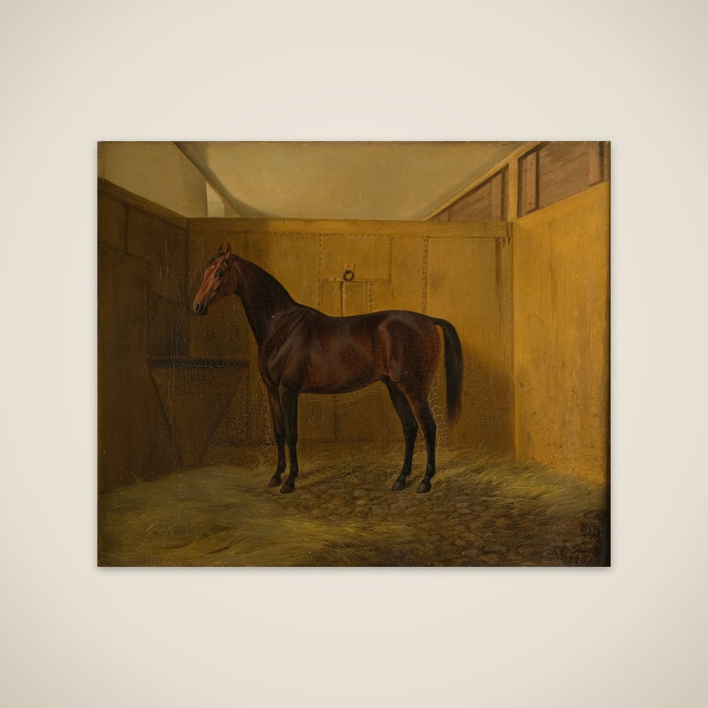 Hersilia unframed print