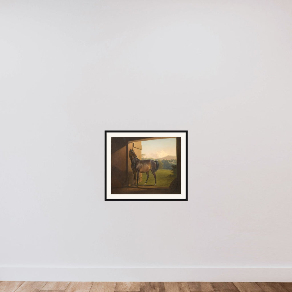 Reveller Mare framed — shown to scale