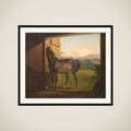 Reveller Mare framed