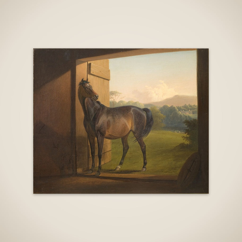 Reveller Mare unframed print