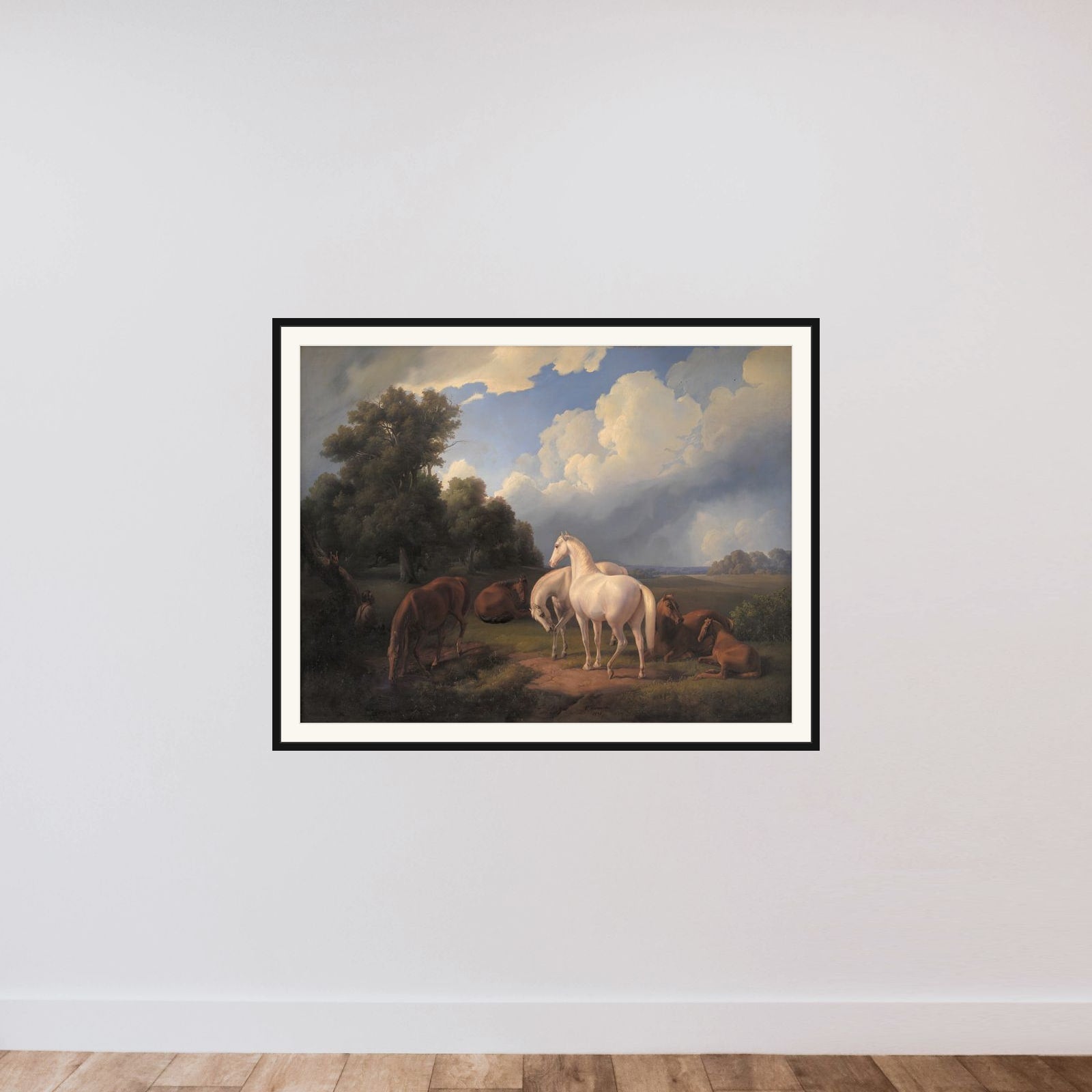 Lucia, Whimsey, Bellona, Hertha, Olga framed — shown to scale
