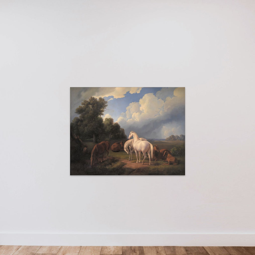 Lucia, Whimsey, Bellona, Hertha, Olga unframed — shown to scale