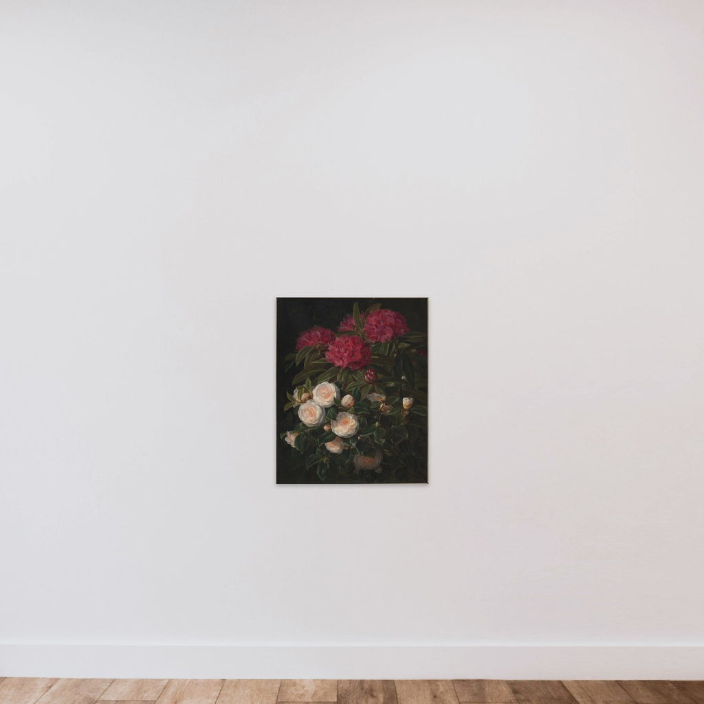 Kamelier og rhododendron unframed — shown to scale