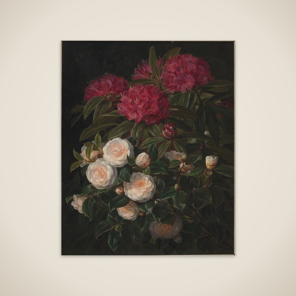 Kamelier og rhododendron unframed print