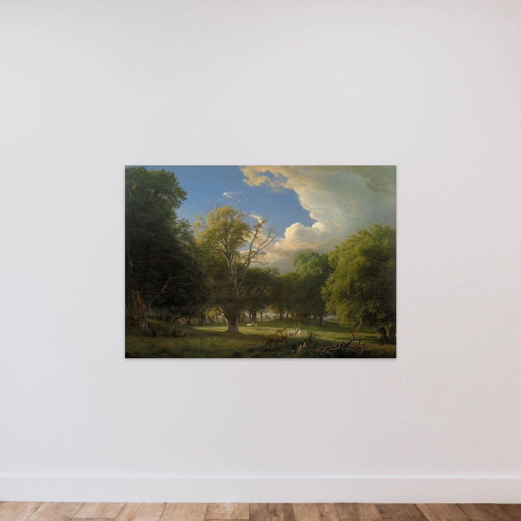 Sommereftermiddag med en bortdragende regnbyge. Jægersborg Dyrehave unframed — shown to scale