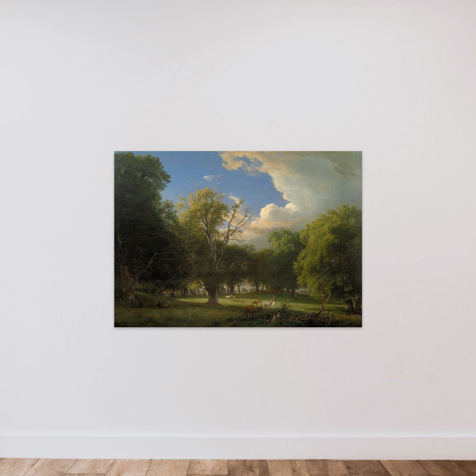 Sommereftermiddag med en bortdragende regnbyge. Jægersborg Dyrehave unframed — shown to scale