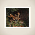 Rådyr framed
