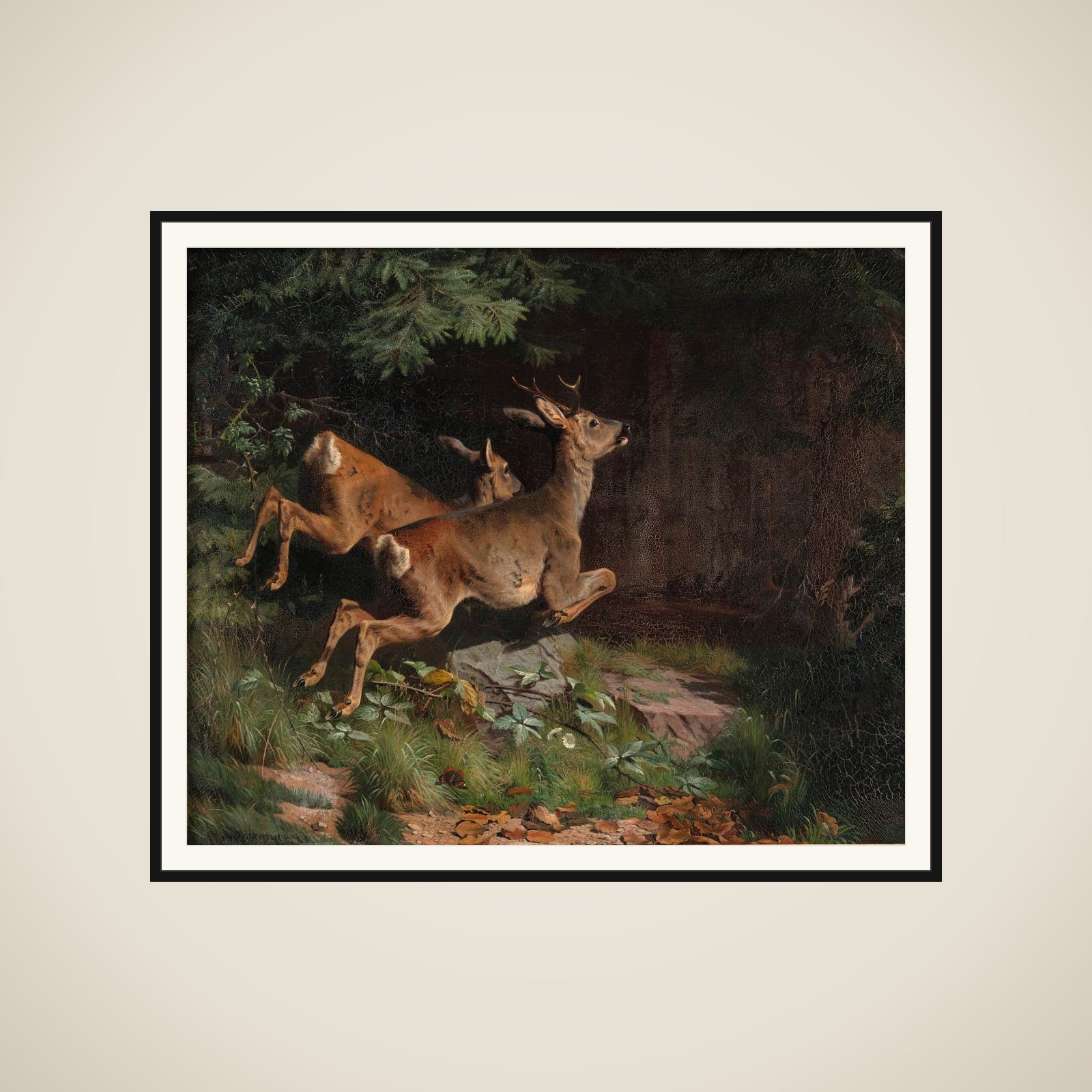 Rådyr framed