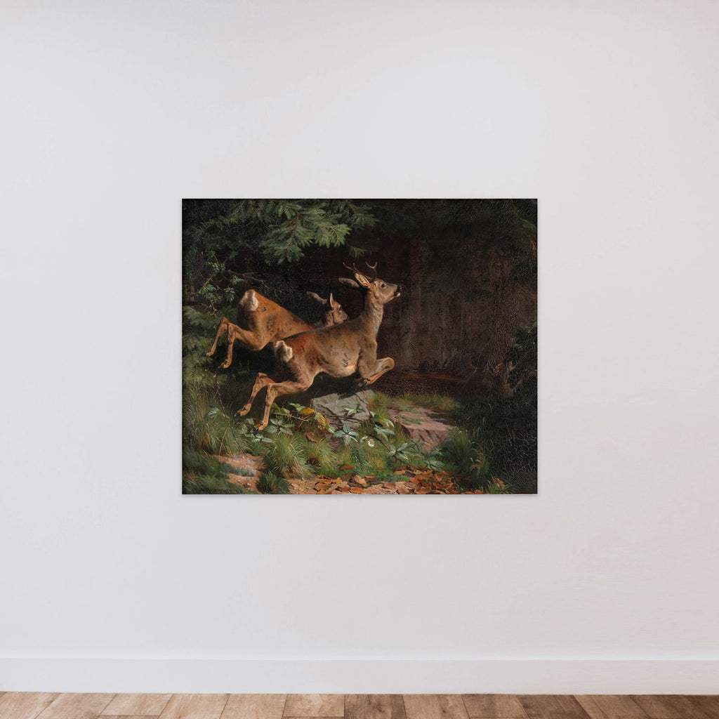 Rådyr unframed — shown to scale