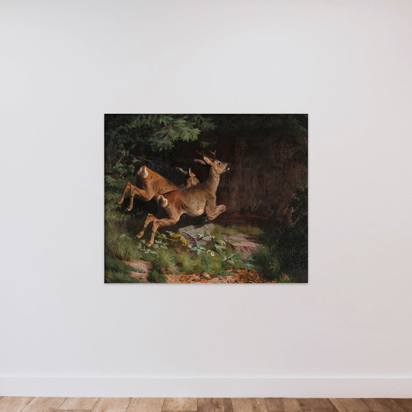 Rådyr unframed — shown to scale