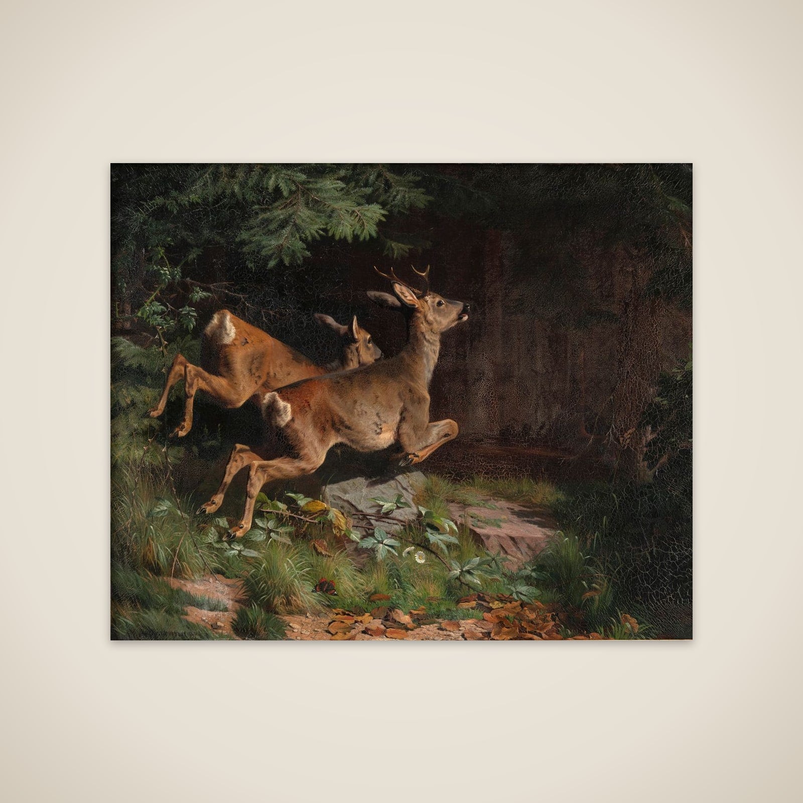 Rådyr unframed print