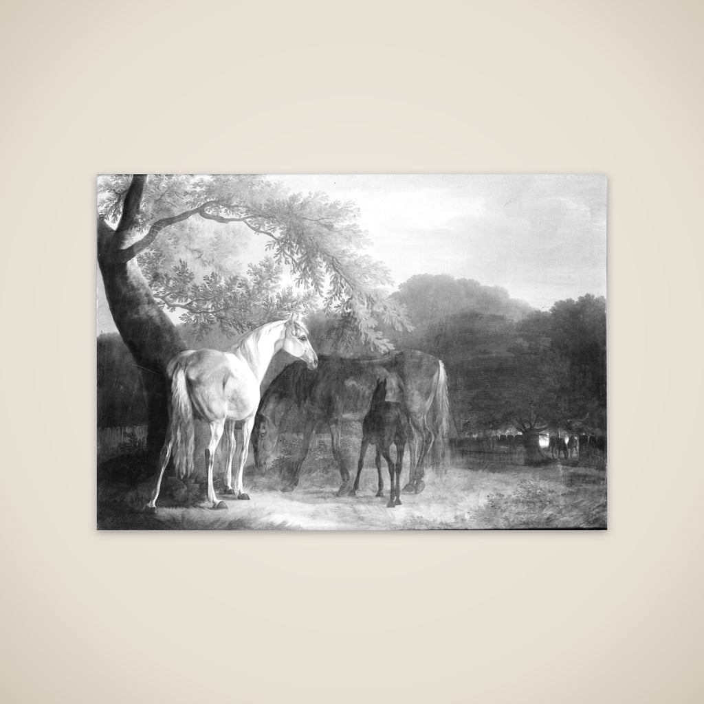 Heste i skovegn unframed print