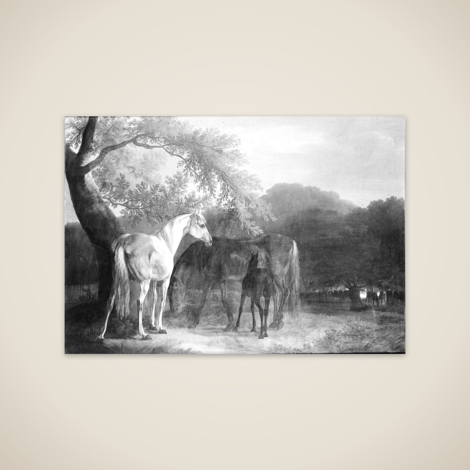 Heste i skovegn unframed print