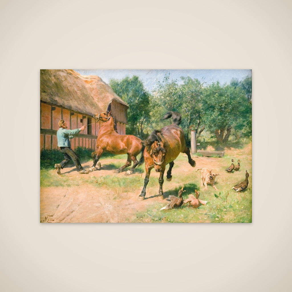 Kåde heste unframed print