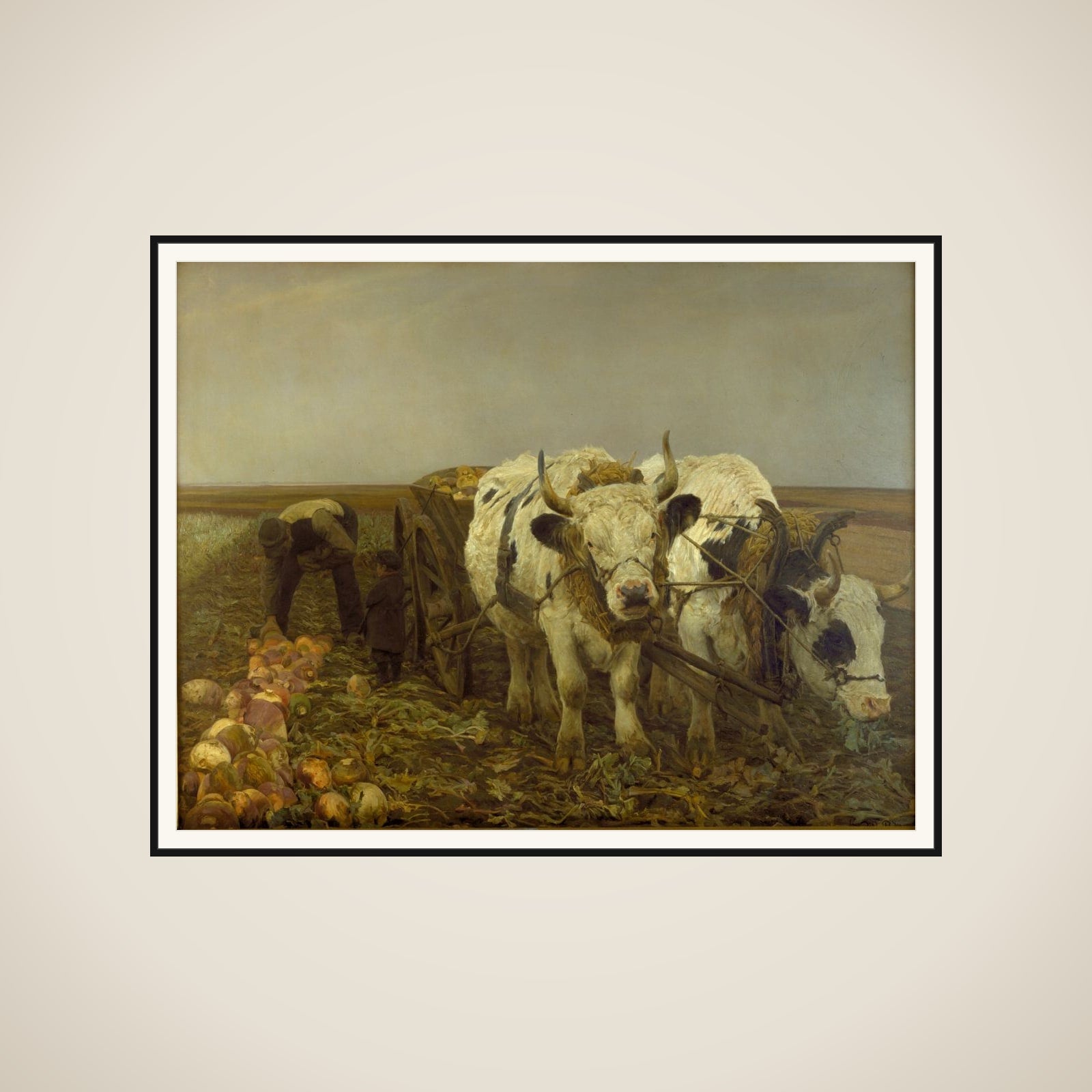 Roeoptagning framed