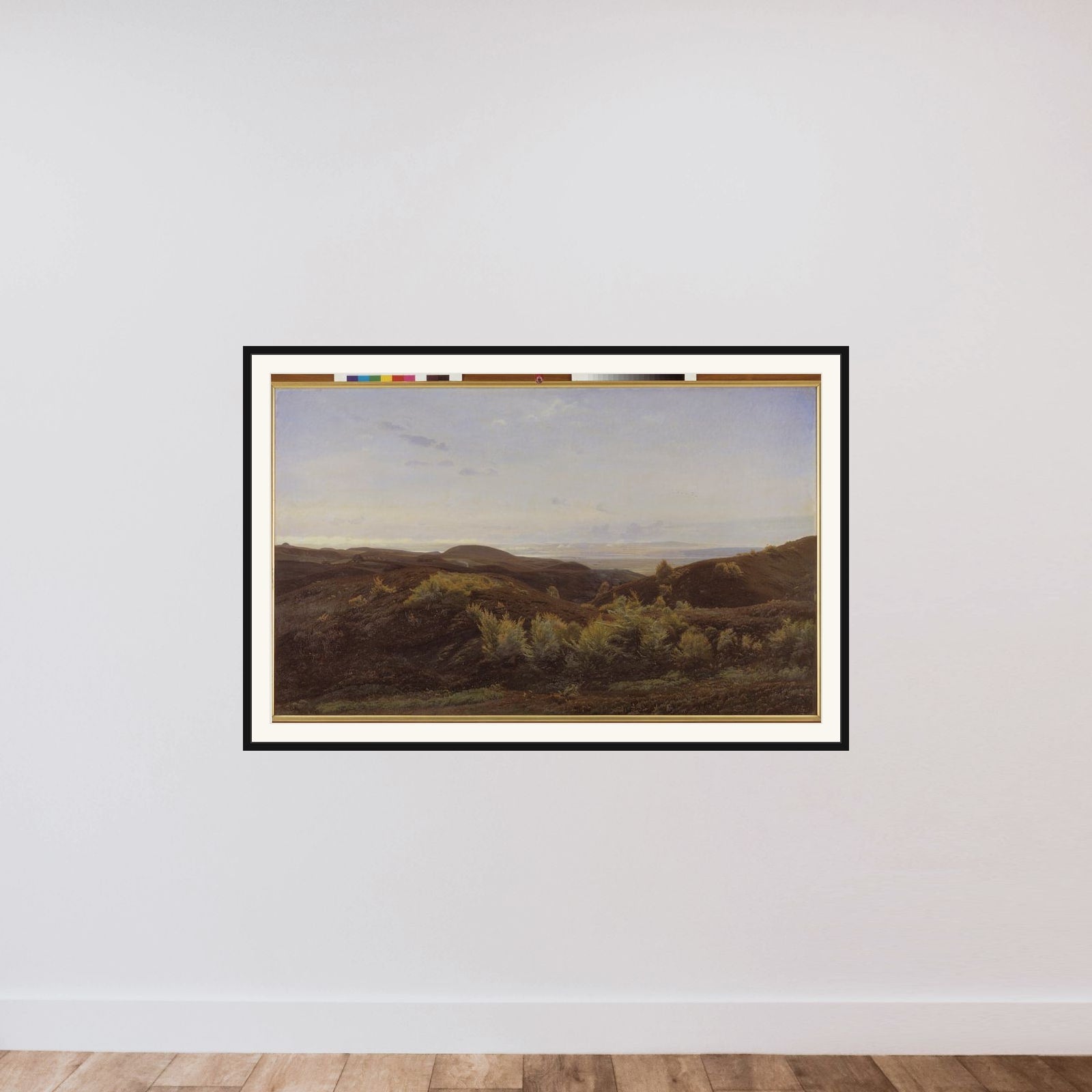 Lyngbakker ved Rye framed — shown to scale