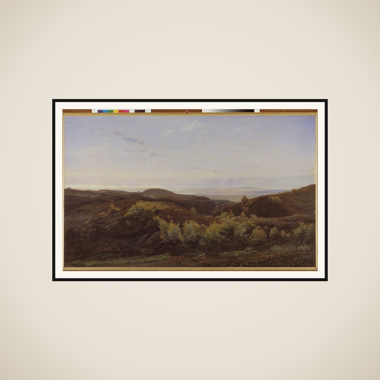 Lyngbakker ved Rye framed