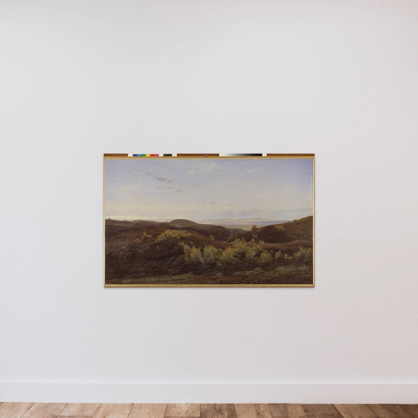 Lyngbakker ved Rye unframed — shown to scale