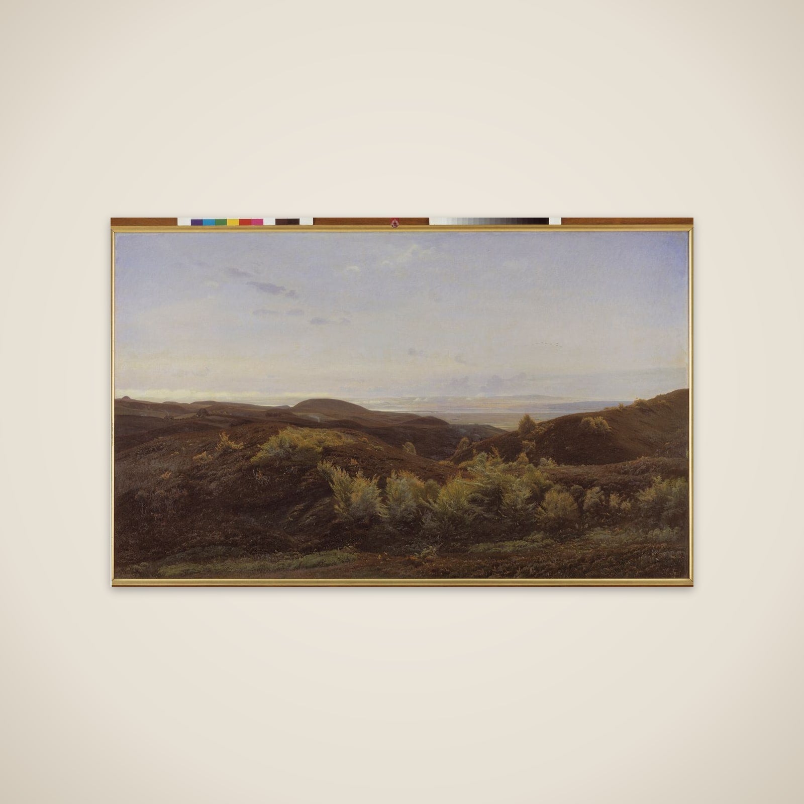 Lyngbakker ved Rye unframed print