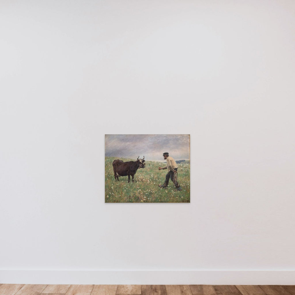 En ko løs unframed — shown to scale