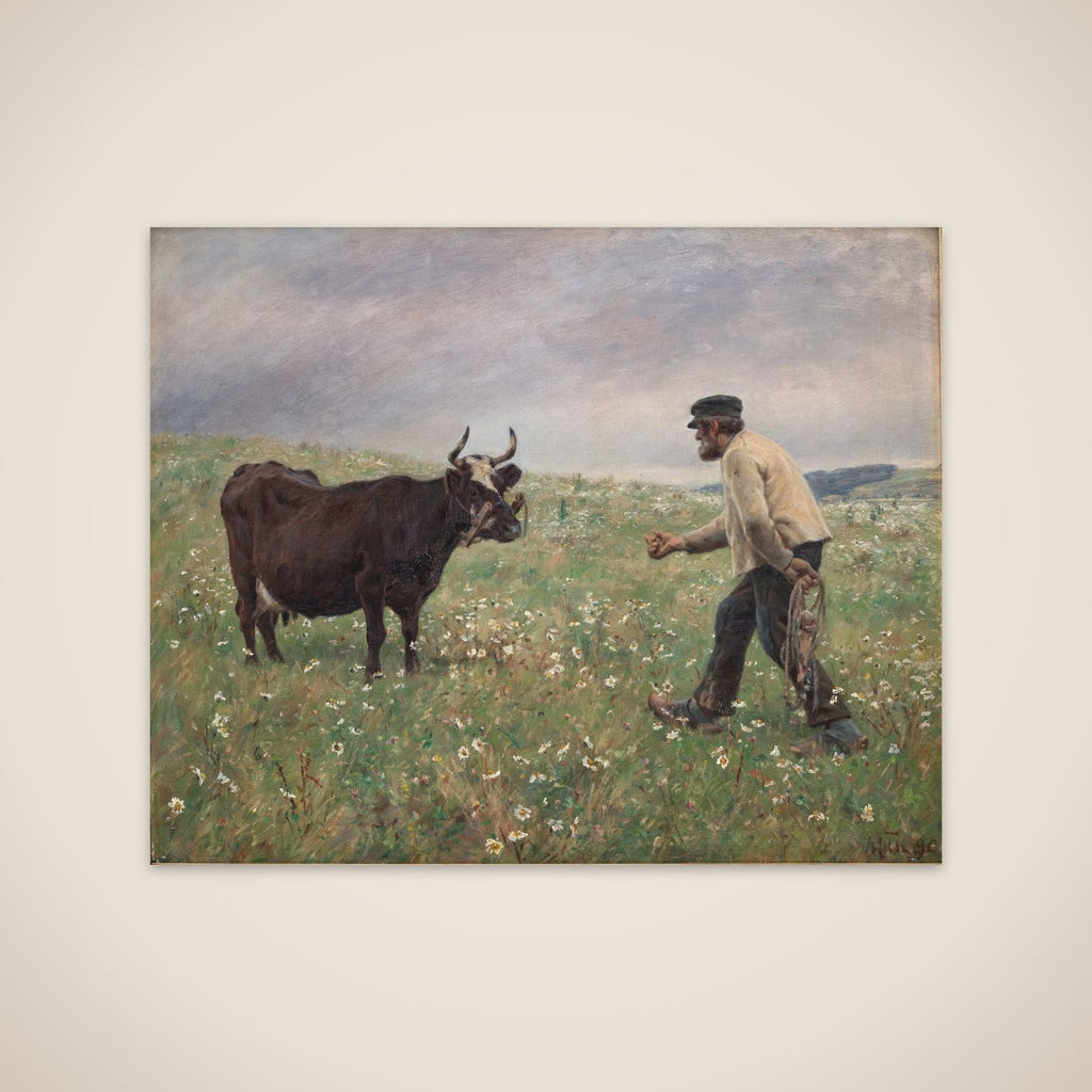 En ko løs unframed print