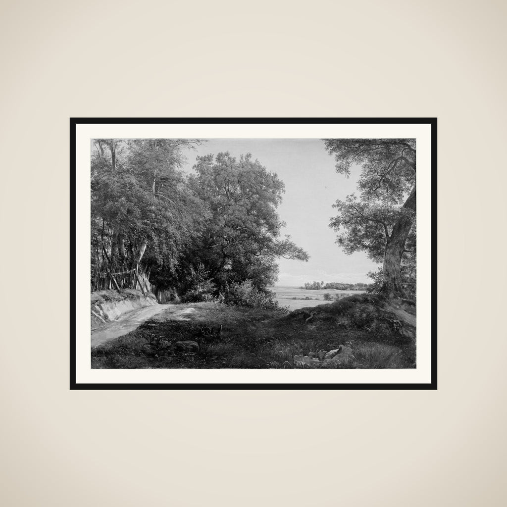 En sommermorgen ved Dyrehavehegnet i Ordrup Krat framed