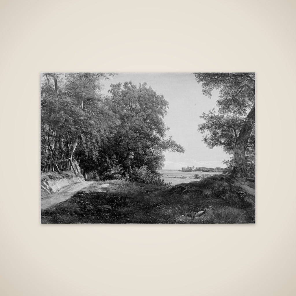 En sommermorgen ved Dyrehavehegnet i Ordrup Krat unframed print