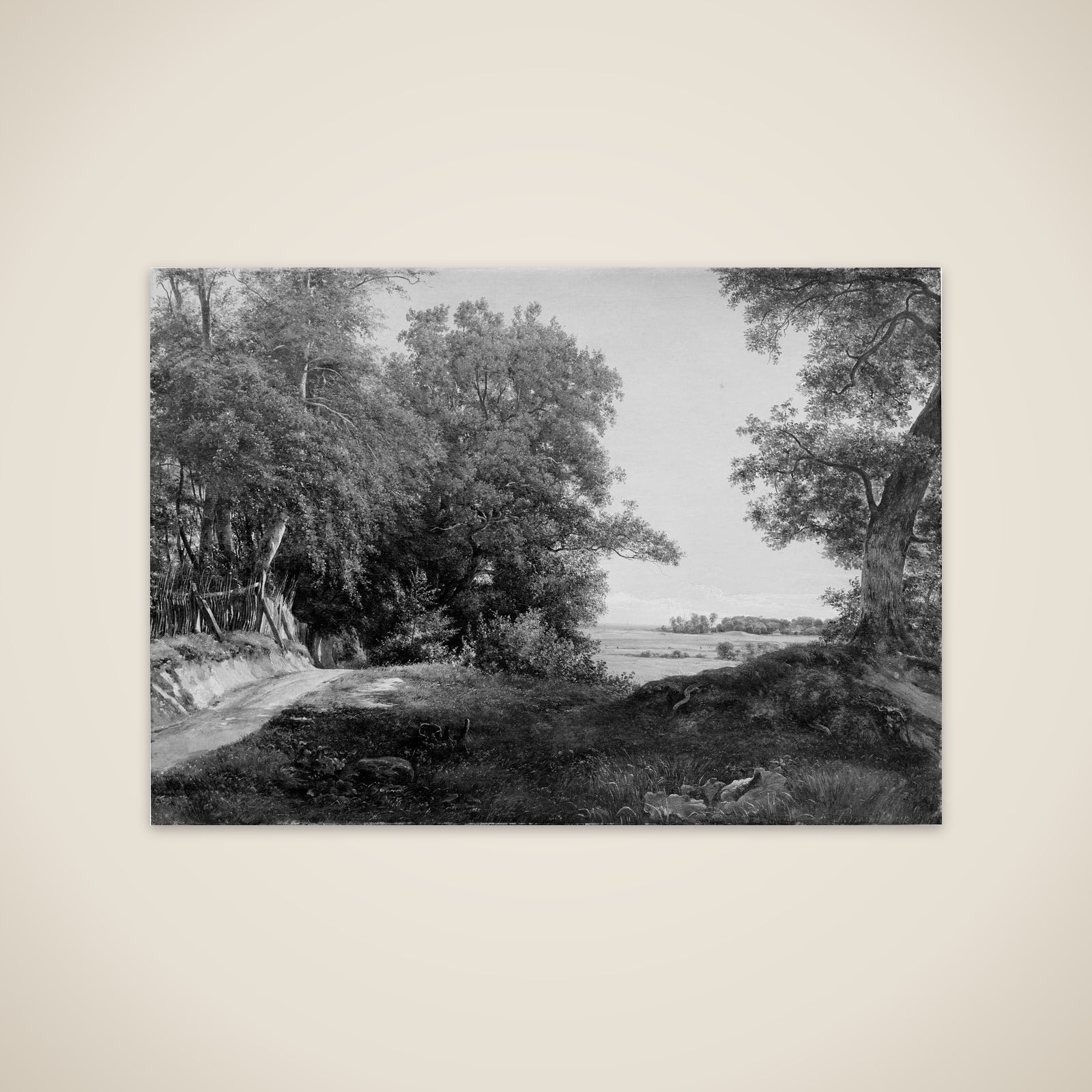 En sommermorgen ved Dyrehavehegnet i Ordrup Krat unframed print