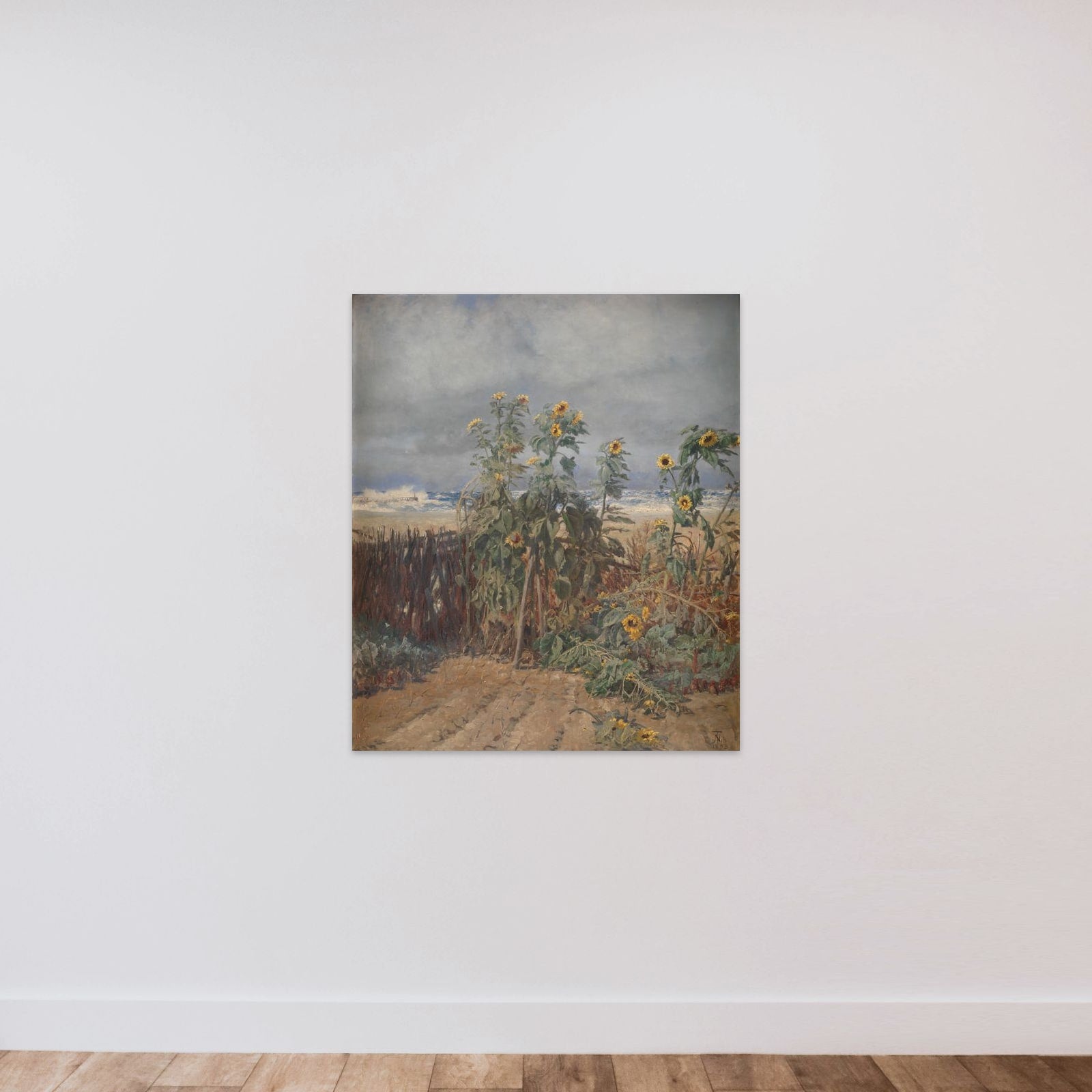 Solsikker på en strand unframed — shown to scale