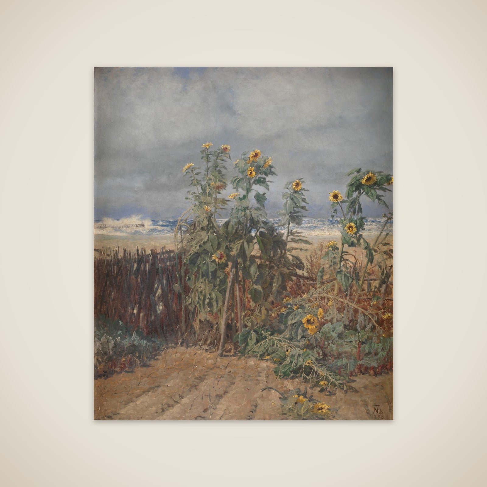Solsikker på en strand unframed print