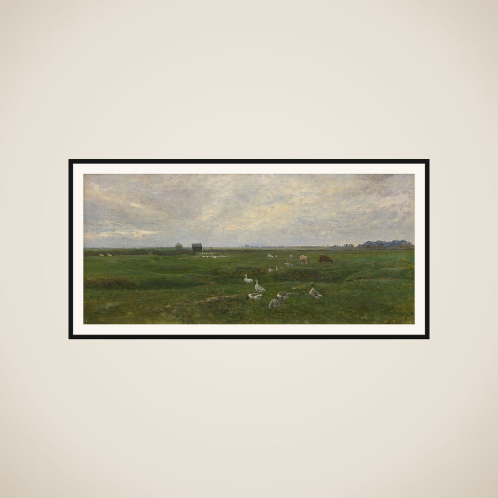 Gæs og får på bymarken. Dragør framed