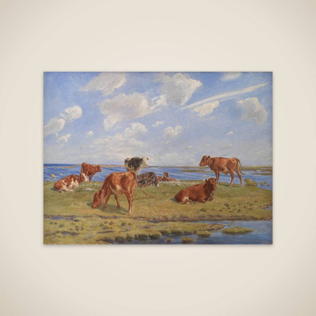 Kalve ved stranden unframed print