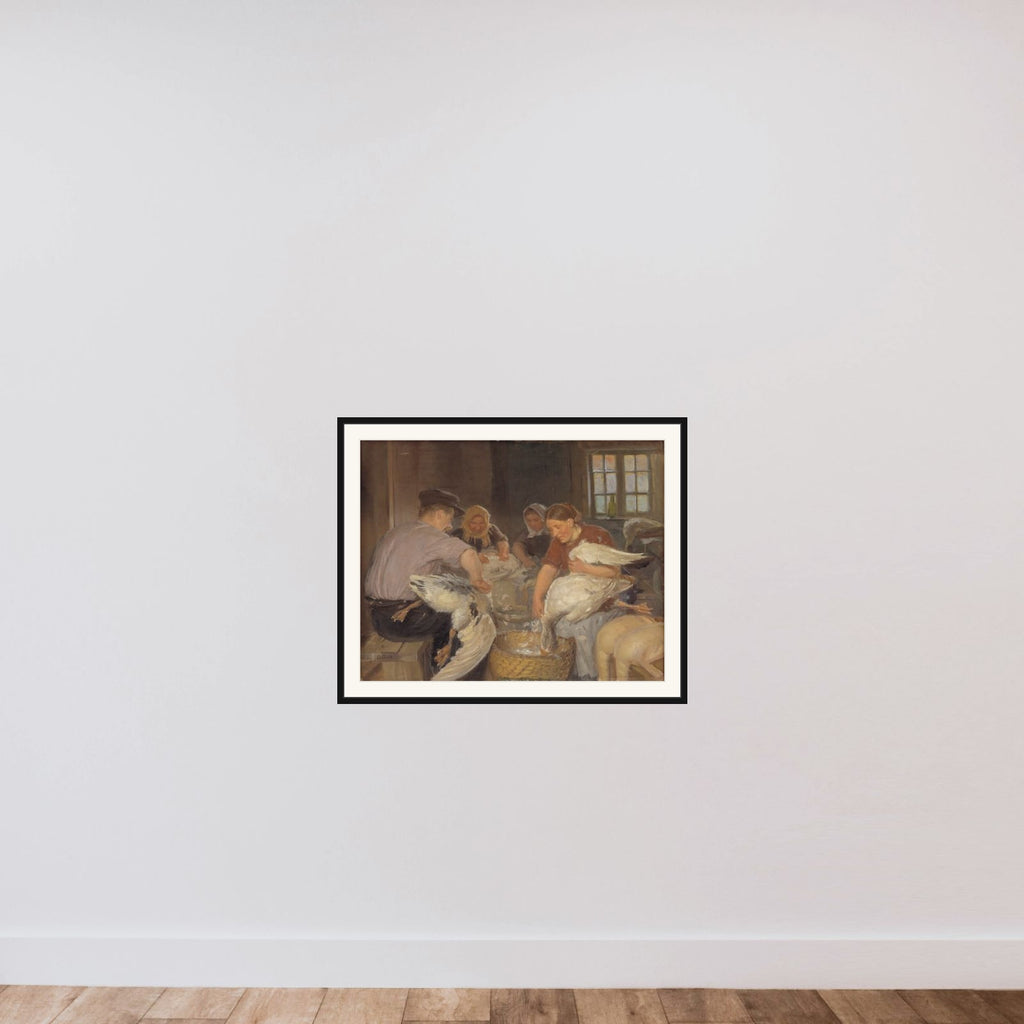 Julegæssene plukkes framed — shown to scale