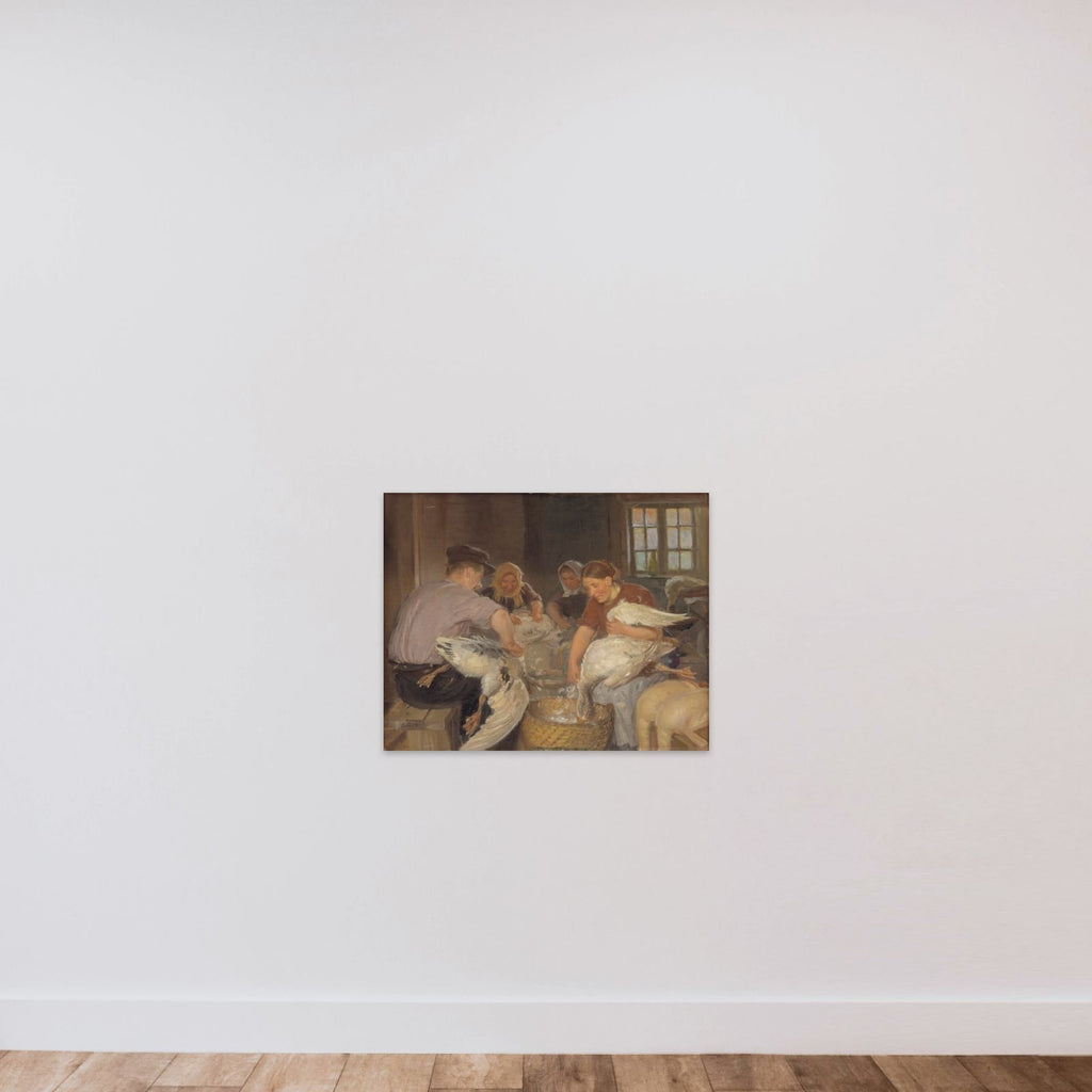 Julegæssene plukkes unframed — shown to scale
