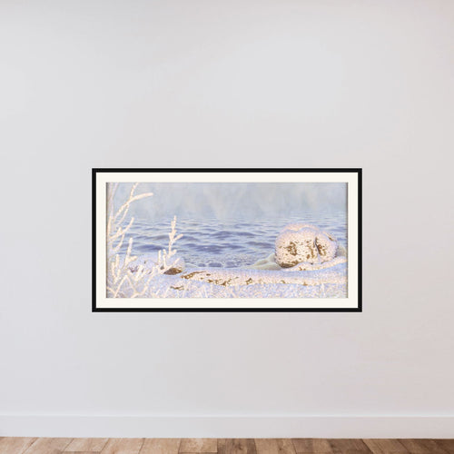Den første kulde over søen framed — shown to scale