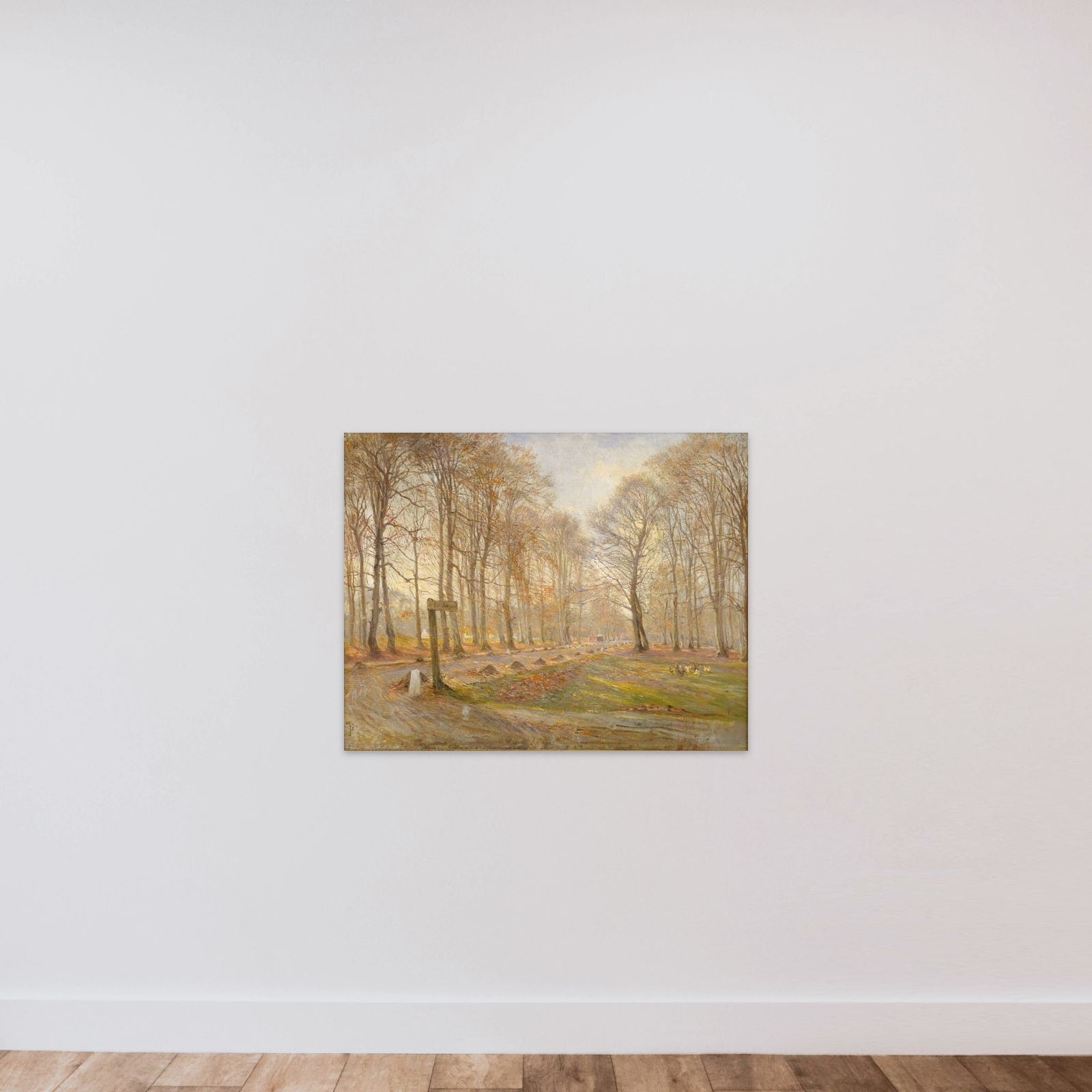 En sen efterårsdag i Dyrehaven. Solskin unframed — shown to scale