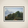Skovparti ved Hellebæk. Eftermiddag framed